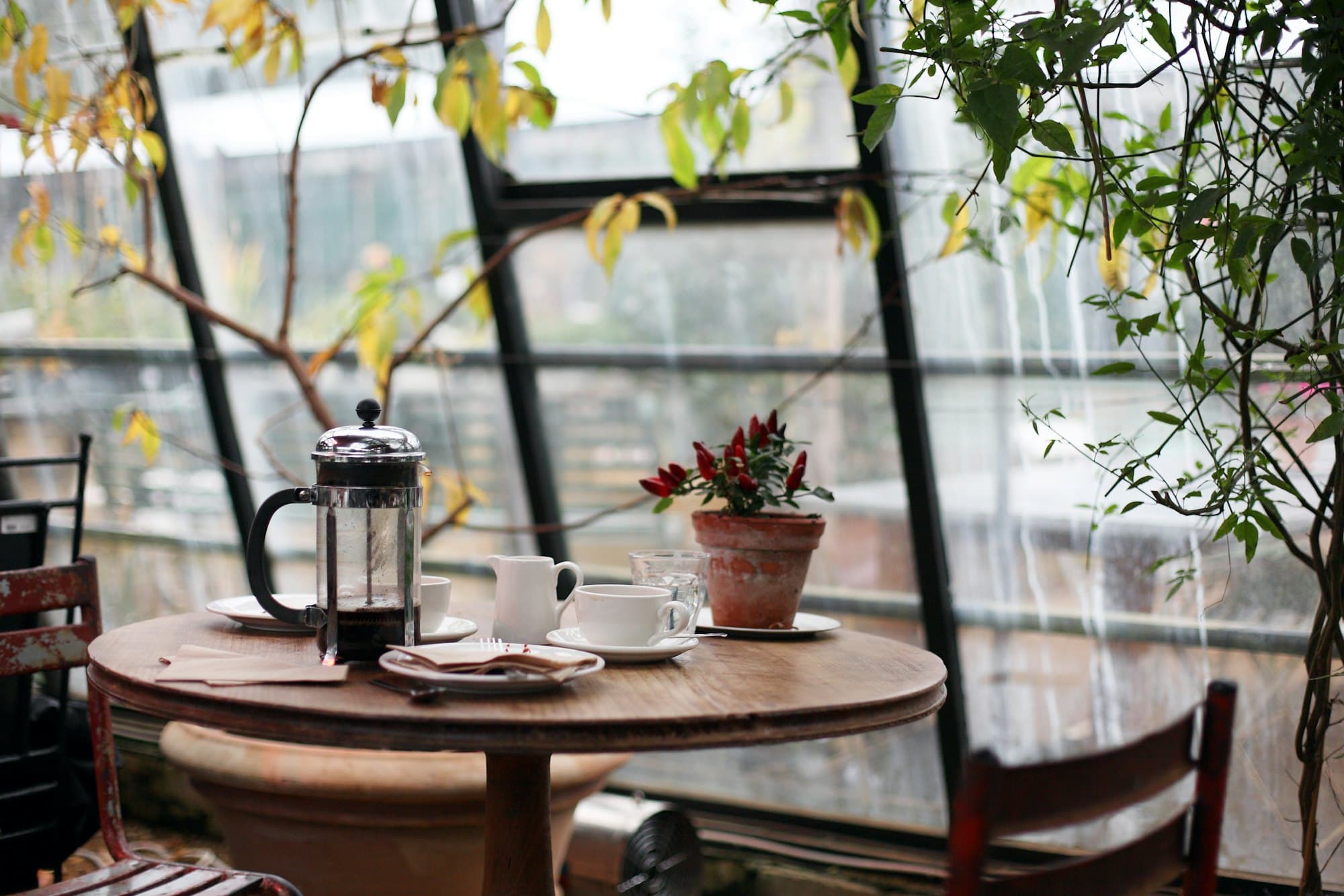 Quiet Coffee Shop: A window seat and fresh coffee