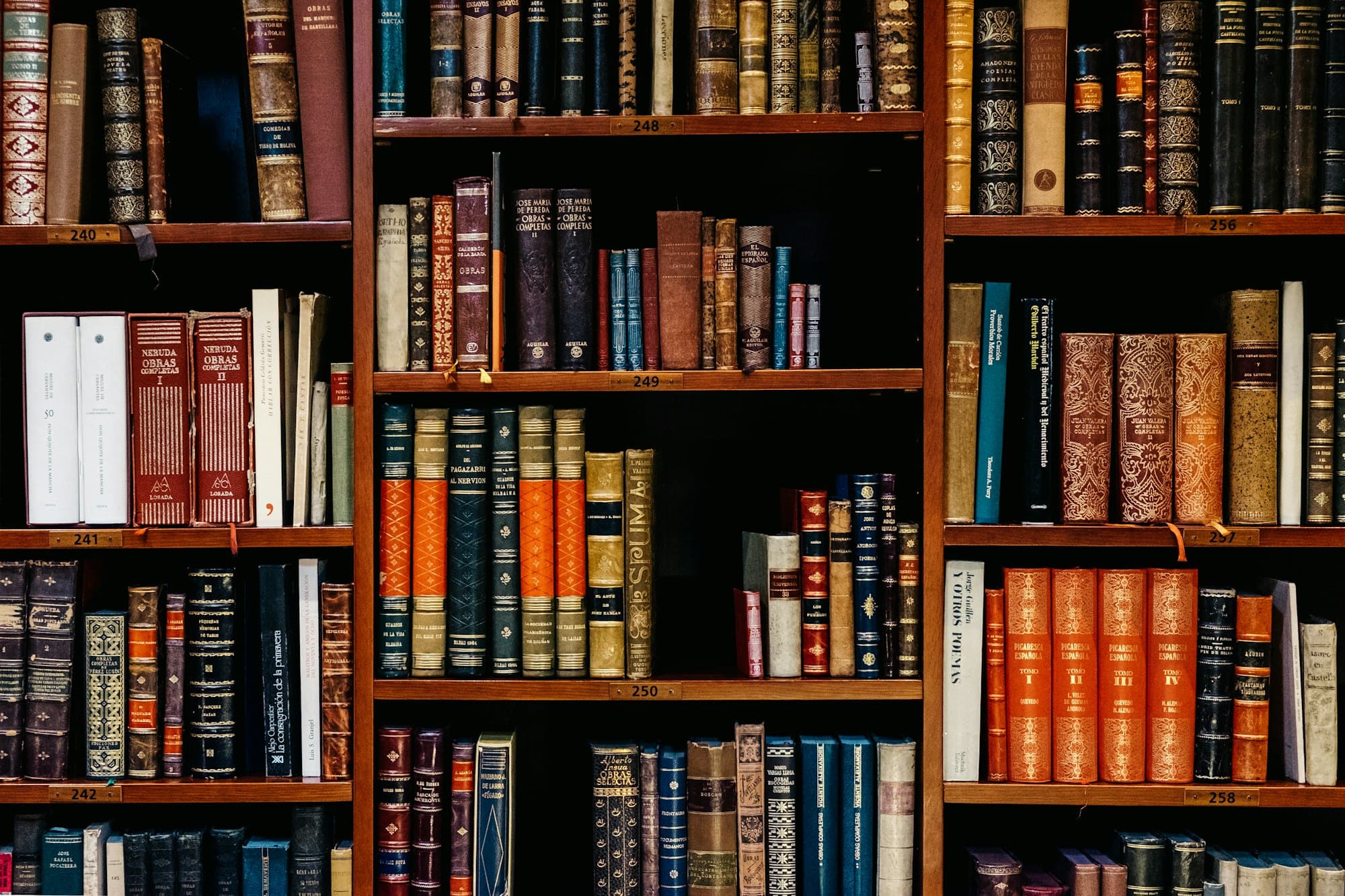 Cozy Library: Warm wood and well-loved books