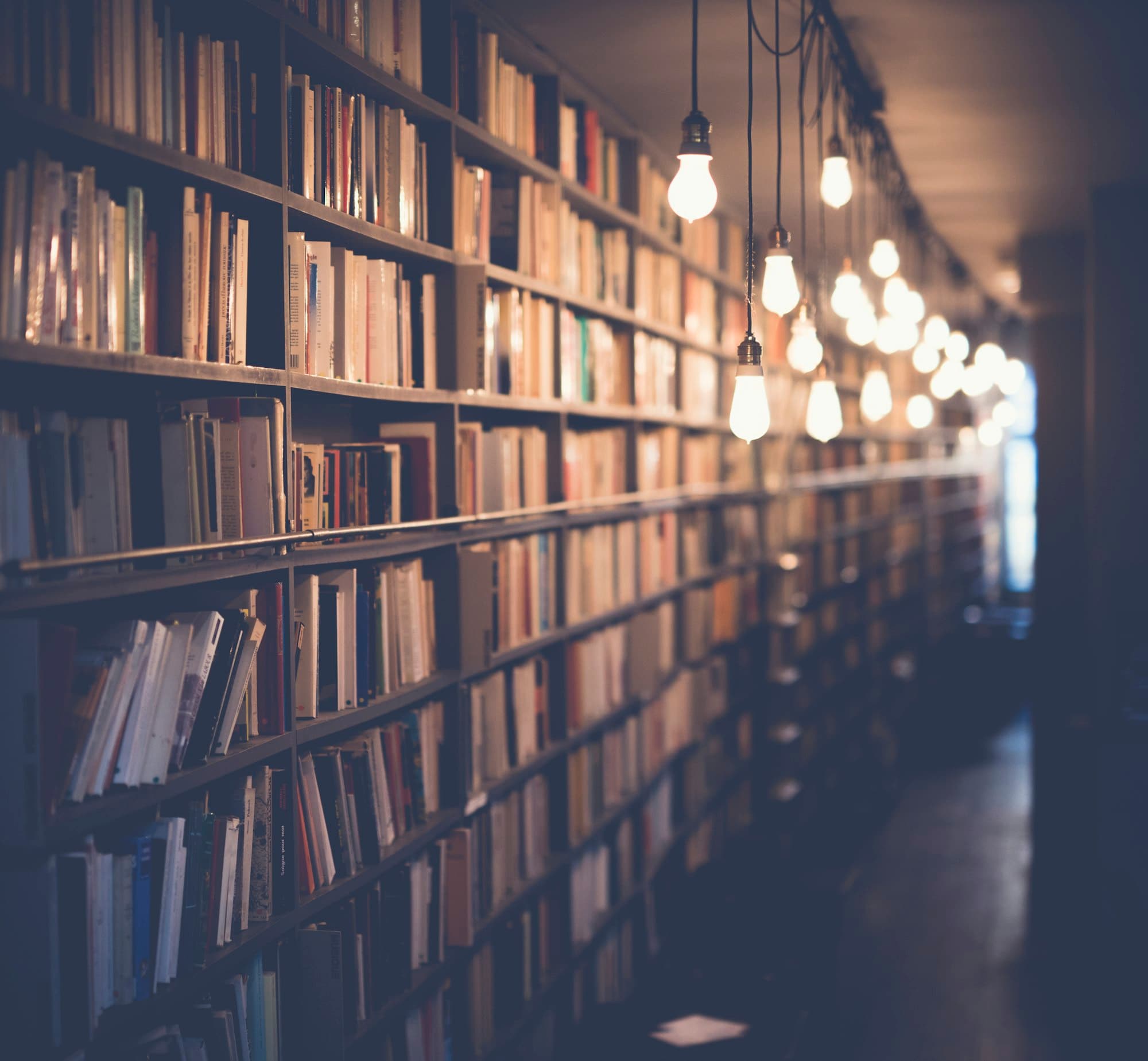 University Library: Warm lamps, endless shelves